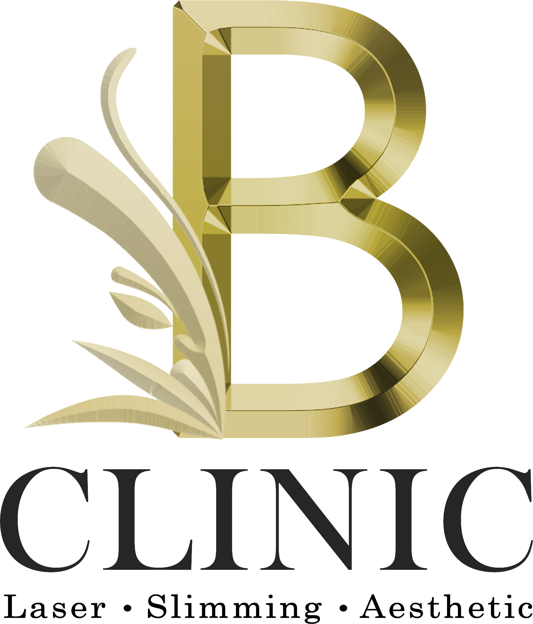 B Clinic Slimming & Aesthetic